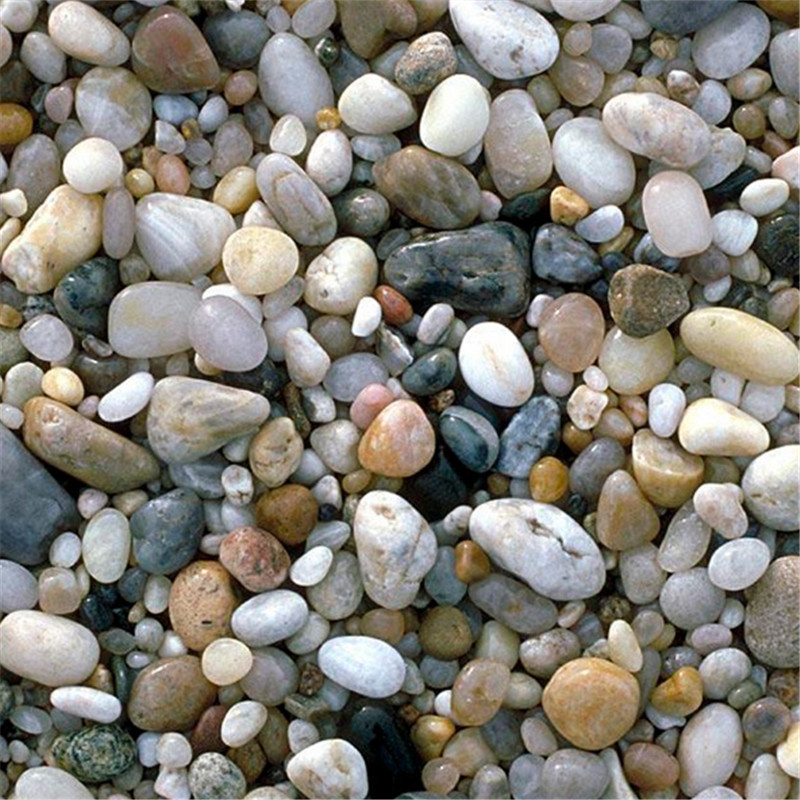 浅浅视频APP下载污美女