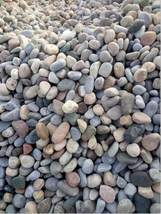 園林鋪路浅浅视频APP下载污美女